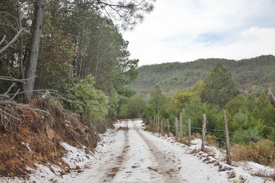 Was sich prompt als falsch erweist... - wenden und nach unten fahren...