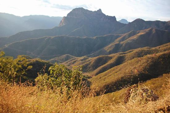 Ab hier gibt es leider keine Fotos mehr...! Es beginnt der Wettlauf mit der Zeit, die Schatten werden immer länger... der Weg wird nicht besser, wir holpern und poltern Kurve um Kurve hinunter...; die Dämmerung beginnt sehr schnell...; Wir wähnen uns schon fast am Ziel - nur noch den Rio Urique überqueren...! Doch wir sind noch nicht in Urique..., wir müssen noch 20 Minuten weiterfahren..., so lautet die erhaltene Auskunft...! (Leider erinnern wir uns nicht mehr an den Namen der Ortschaft..)
Mittlerweile ist es Nacht geworden und als "Krönung des Tages" wird die Strasse auch noch umgeleitet und der Rio Urique muss gleich zweimal überquert werden... Nun sind wir in Urique und wir fragen uns durch nach "Entre Amigos" - eine Adresse, die wir aus unserm Führer haben. Ein älterer Herr fährt mit dem Auto voraus und zeigt uns das Eingangstor, welches natürlich verschlossen ist...! Da kommt Tomaso daher, er zeigt uns, wo wir aufstellen können, Bagnos etc. Ein kurzes Nachtessen beendet den anstrengenden Tag....!