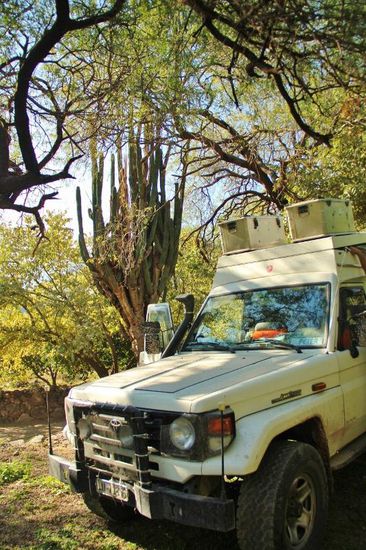 Am andern Morgen zeigt es sich, in welch schöner Umgebung wir genächtigt haben..