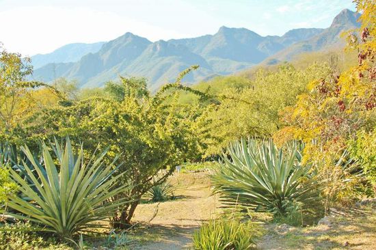 Im Garten von Entre Amigos, 1 km nördlich vom Ortszentrum...