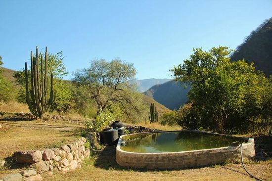 Wasservorrat für den Garten...