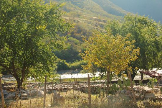 Wir verlassen den hübschen Garten am Rio Urique...! Entre Amigos ist wirklich eine Empfehlung wert, herzlichen Dank an Michelle und Tomaso...! Unsere heutige Etappe ist Divisadero...