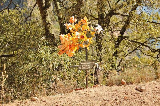 Immer wieder anzutreffen - stumme Zeugen von Unglücksfällen...