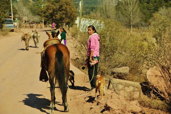 Um auf die richtige Strasse zu gelangen, müssen wir uns auch hier durchfragen...; 
mit den Richtungstafeln ist das so eine Sache, entweder es gibt keine oder sie sind versteckt angebracht....!