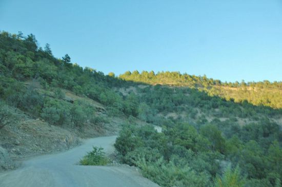 Der Weg zurück im spätnachmittäglichen Sonnenschein...