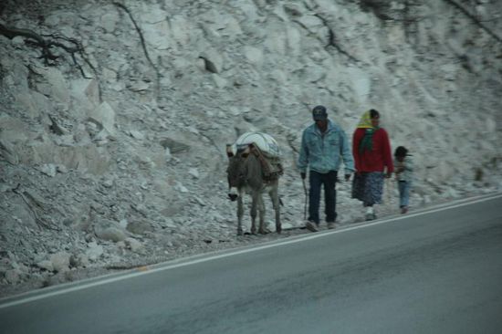 Deshalb sollte man nachts besser nicht fahren...