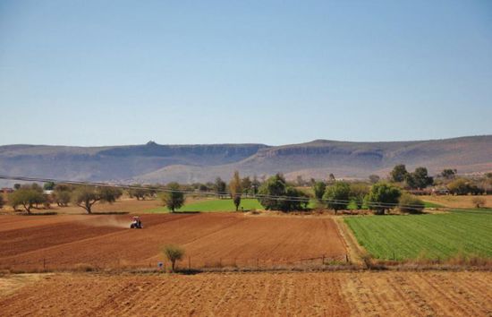 Gepflegte Landschaften...