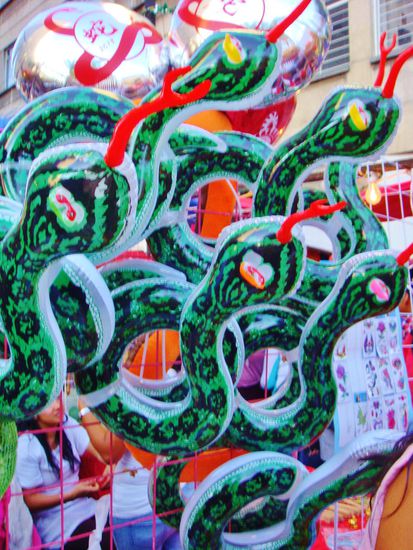 Es ist das Jahr der Schlange...