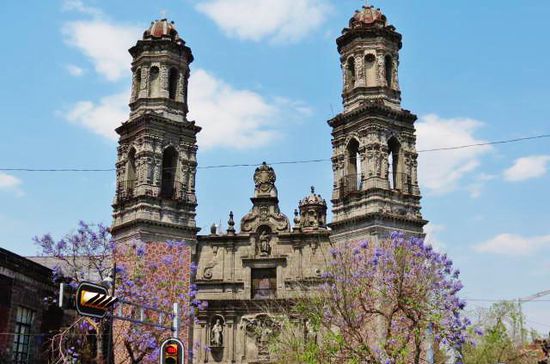 Blühende Jacaranda-Bäume vor der Iglesia de la Santa Veracuz...