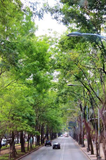 2spurig für Autos und 1 Spur für Busse auf der Paseo de la Reforma vor dem Anthropologischen Museum...