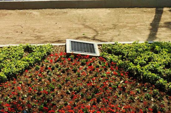 Bepflanzung und Solarpanel auf dem grünen Mittelstreifen, der die 3spurigen Fahrbahnen trennt...