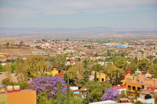 Herrlich, wie die Jacaranda-Bäume blühen...