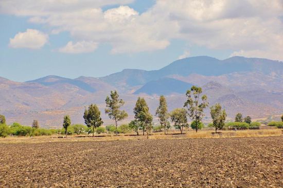Wir durchfahren ein intensiv genutztes Landwirtschaftsgebiet...