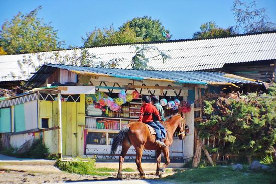 Sonntäglicher Ausritt...