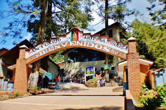 Wir steigen hinauf zum Monarch-Falter Schutzgebiet...