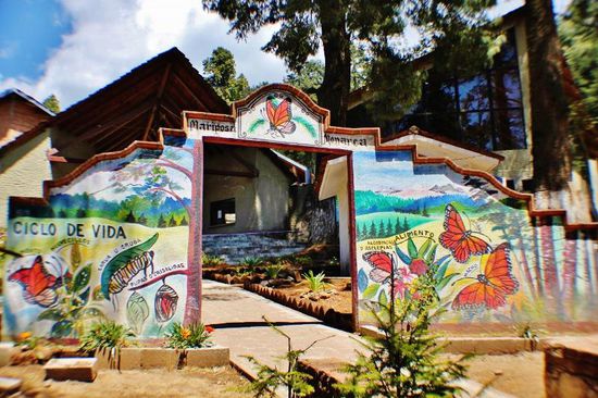 Der Lebenszyklus eines Monarch-Falters...
Mehr über die Monarch-Falter