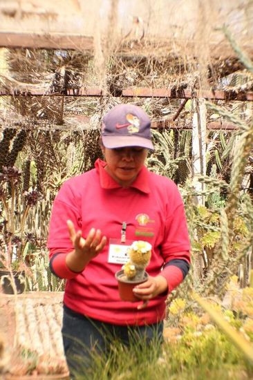 Hier erhalten wir kompetente Auskünfte über Kakteen und Sukkulenten...