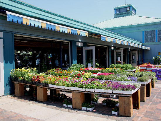 Im Markt beim alten Hafen...