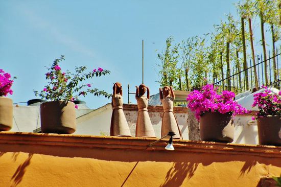 Die Engel von San Miguel de Allende winken zum Abschied...