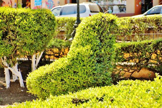 Nach einer kleinen Stärkung in der Stadt fahren wir weiter...