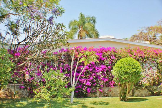 Welch fantastische Farbenpracht...