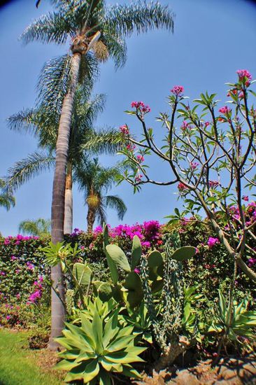 "Aaahhh und Ooohhh" - das grosse Staunen über die Vielfalt der Pflanzen...