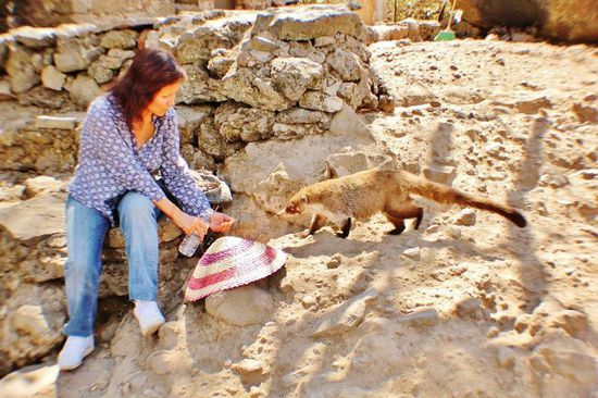 Ins Gespräch sind wir mit Senõra Cecilia gekommen...; ist doch immer wieder lustig, sie ist Mexicanerin und wohnt in Solothurn...