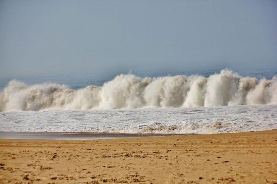 Es gilt Abschied zu nehmen von Nelly und Toni...; sie fahren nach Cancun und fliegen von dort für 2 Monate zurück in die Schweiz...; wir wünschen euch beiden alles Gute und - danke für die schönen Stunden mit euch...!