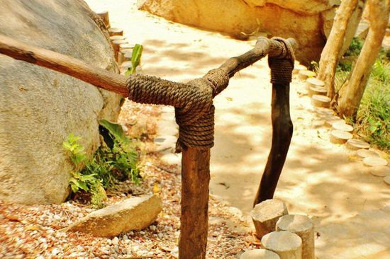 Der botanische Garten ist Teil der Universität von Acapulco...; um dorthin zu gelangen, müssen wir die ganze Stadt durchqueren...