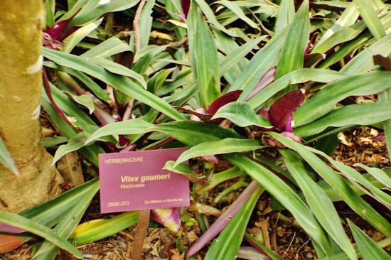 Der Garten ist so schön angelegt, dass sich Worte erübrigen...