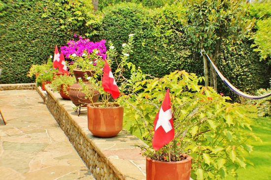 Die ersten Veränderungen...; (auch wenn es nur die Umstellung der Blumentöpfe ist...)