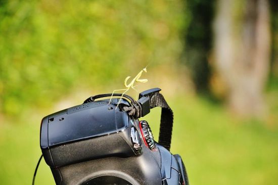 ...und schwupps steht sie auf der Kamera...