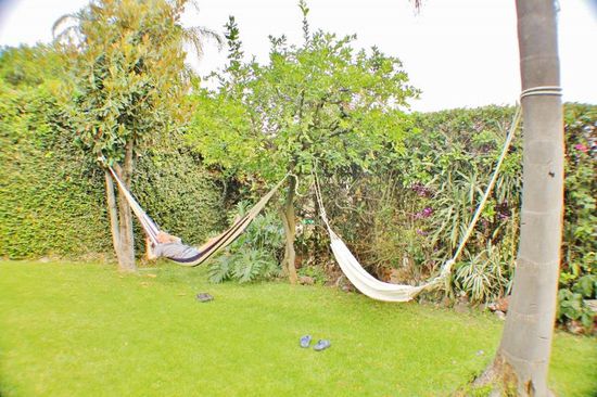 Pfingsten verbringen wir ruhig und relaxt im eigenen Garten...!