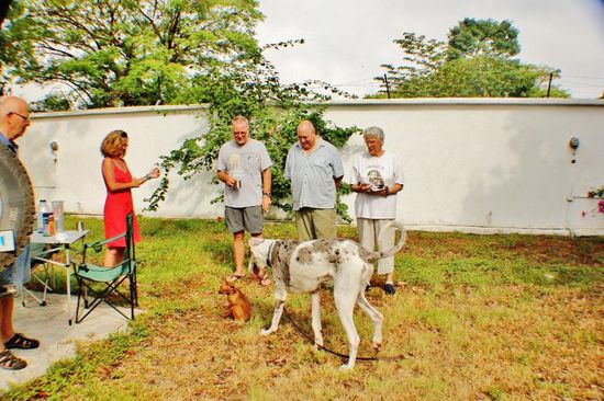Der kleine Hund ist Jack - der Grosse wurde mit "Hänsel" benamst, derweil "Gretel" aus Platzgründen zu Hause bleiben musste....