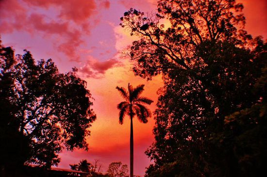 Abendliche Stimmung...!