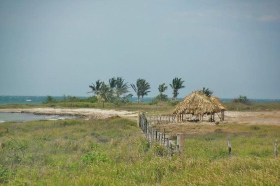 Kurz vor Campeche werden wir mal wieder von der Polizei angehalten...; ein kleiner small talk mit der Bitte, die Papiere (pro forma) zu zeigen...; 
dann sind wir doch überrascht, als uns die Polizisten bitten auszusteigen für ein Foto mit ihnen zusammen...; wir sind so überrascht, dass wir prompt vergessen, unsern eigene Kamera mitzunehmen... - schade!
