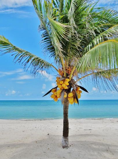 Wundervolles Wetter, weisser Sand und azurblaue See laden zu einem Halt ein...