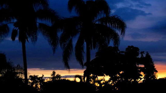 Und unser Blick zum Sonnenuntergang auf der Terrasse...!