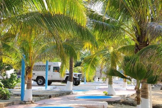 Endlich! Am 2. Dezember geht es wieder auf Reisen...; wir schalten einen Stopp in Acapulco auf der uns bekannten "Pie de la Cuesta" ein...