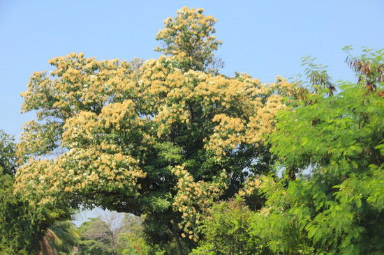 Wir durchfahren schöne Gegenden...