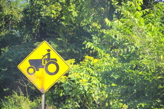 Wir fahren in "Missachtung" dieses Verkehrsschildes in nördlicher Richtung Tepic entgegen...