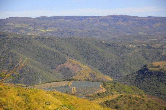 Die ersten Agavenfelder tauchen auf...
