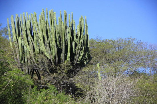 Zur Abwechslung mal etwas "Wüste"...
