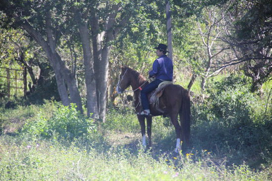 Mitten auf der Strasse ein Stopp...