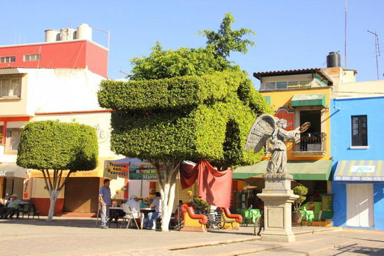 Die Mexikaner haben ein echtes Flair, Bäume in Formen zu schneiden...