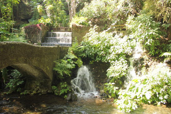 Die Stadt Uruapan ist eine der wenigen Städte, welche einen Nationalpark auf Stadtgebiet als Naherholungsgebiet hat - und das bloss 5 Taximinuten vom Zocaló entfernt...: nix wie hin...