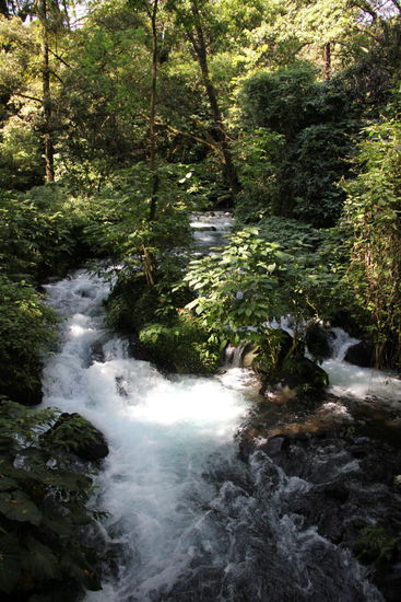 Der idyllische Flusslauf...
