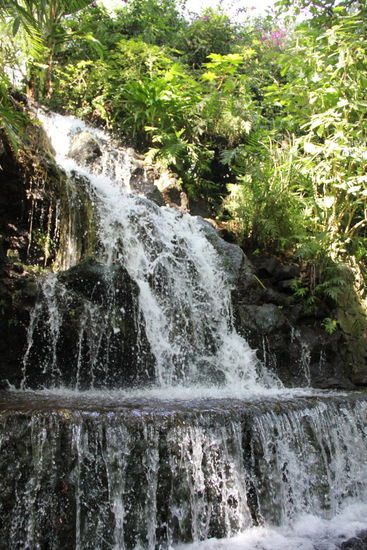 Nicht überall in Mexico gibt es genügend Wasser...