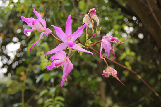 Die hübsche Umgebung...