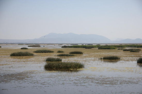 Die Landschaft ist äusserst abwechslungsreich - nur anhalten darf man nicht auf dem Damm...